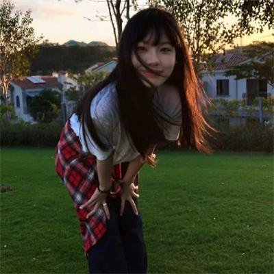 夜之蝶